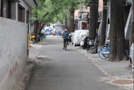 育樹胡同 - 位于北京市東城區(qū)東直門北小街西側